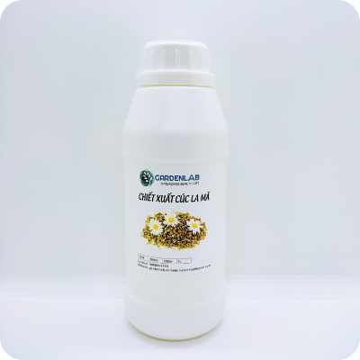 CHIẾT XUẤT CÚC LA MÃ